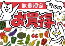 今日のお買い得・送料無料