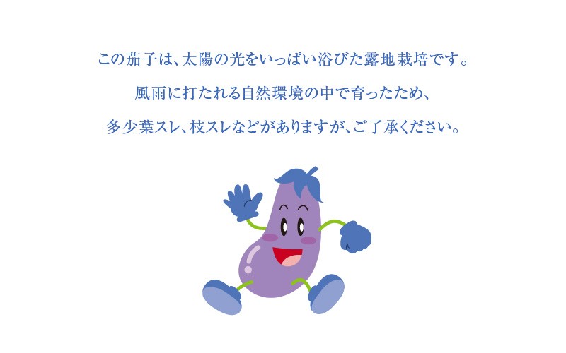 産地直送！和歌山産 水茄子（水なす） 1kg □発送翌日受取限定