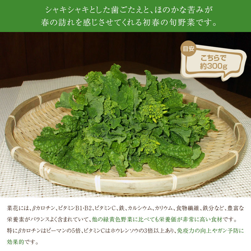 無農薬 和歌山産 朝採り菜花(菜の花) 300g ■翌日受取限定 ※お届け時間帯にご注意ください■