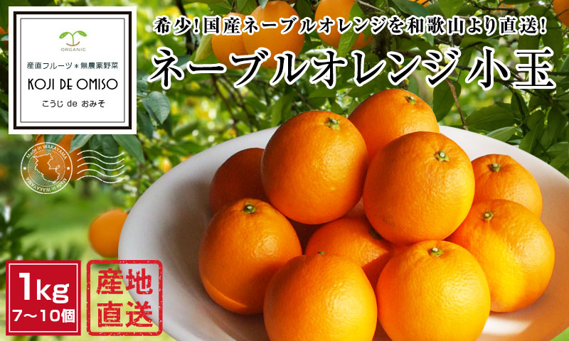 楽天市場】マジス マリオリナ スタッキングチェア オレンジ