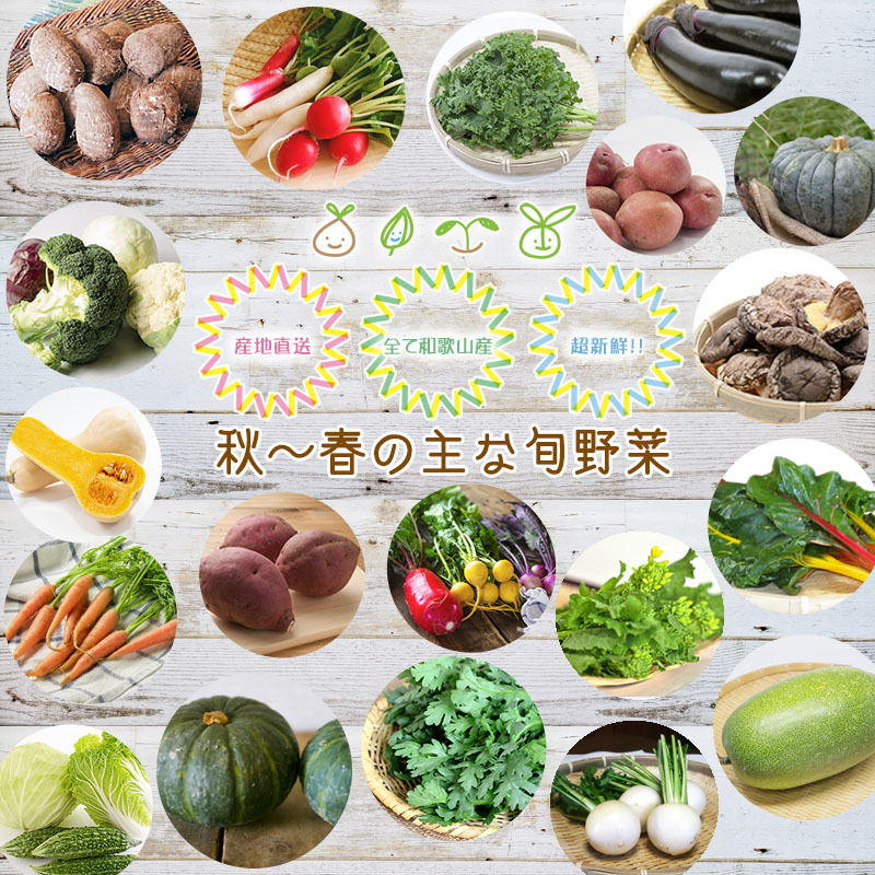 おまかせ野菜