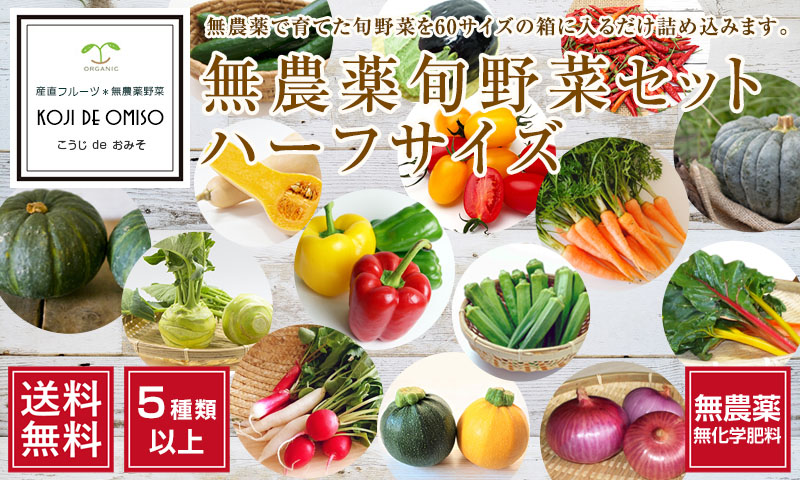おまかせ旬野菜セット