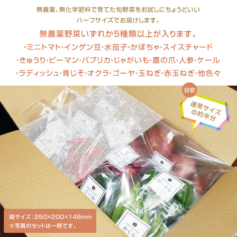 おまかせ旬野菜セット