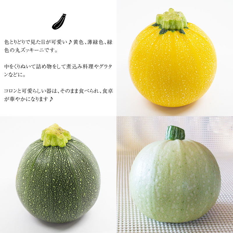 売り出し 和歌山産 無農薬 朝採り 丸ズッキーニ 約1.5kg 期日指定不可 発送翌日受取限定：時間指定にご注意ください  schmidgruber.at