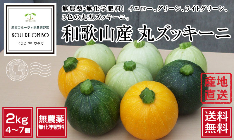 楽天市場】たけのこ 和歌山県産 超特大 規格外 訳あり ご自宅用