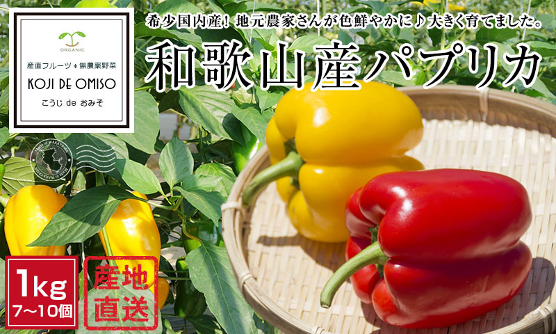 パプリカ(出荷時初回返信/基本翌日発送) パプリカ(出荷時初回返信/基本翌日発送) パプリカ(出荷時初回