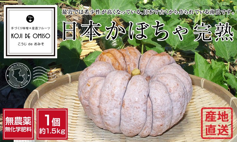 無農薬 和歌山産 日本かぼちゃ完熟 1個約1kg : koji de omiso - 通販