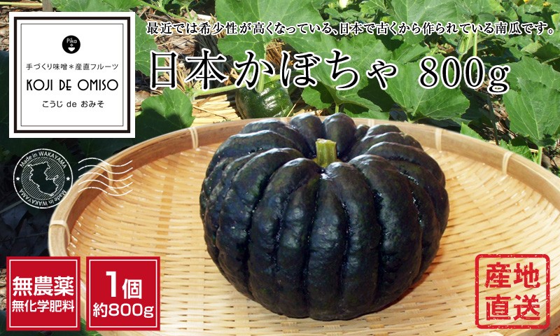 無農薬 和歌山産 日本かぼちゃ 1個約800g