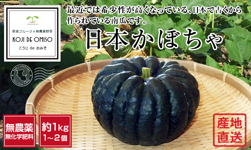 無農薬 和歌山産 日本かぼちゃ 約1.3kg : pumpkin1300 : koji de omiso