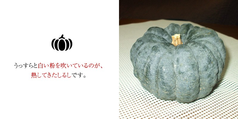 北海道産栗かぼちゃ | 家庭用商品 - 富士通商株式会社