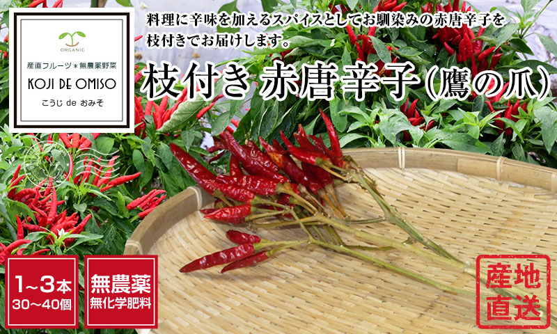 国産　赤唐辛子　鷹の爪　乾燥　農薬不使用 鷹の爪 乾燥赤唐辛子 国産 ホール 20g程度 : 農家とダイレクト