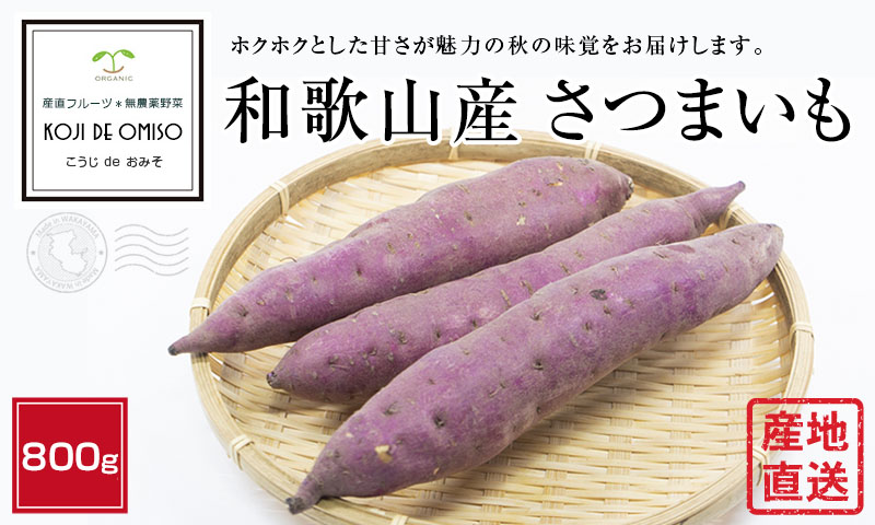 新製品情報も満載 産地直送 和歌山産 さつまいも さつま芋 600g ※サイズ不揃い highart.com.eg