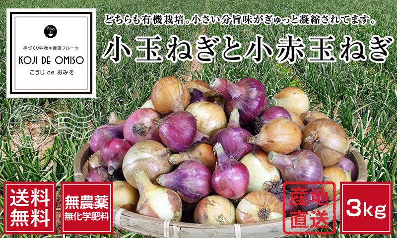 無農薬 和歌山産 小玉ねぎと小赤玉ねぎ 3kg［送料無料］