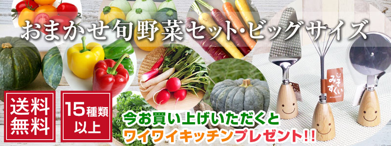 koji de omiso - Yahoo!ショッピング