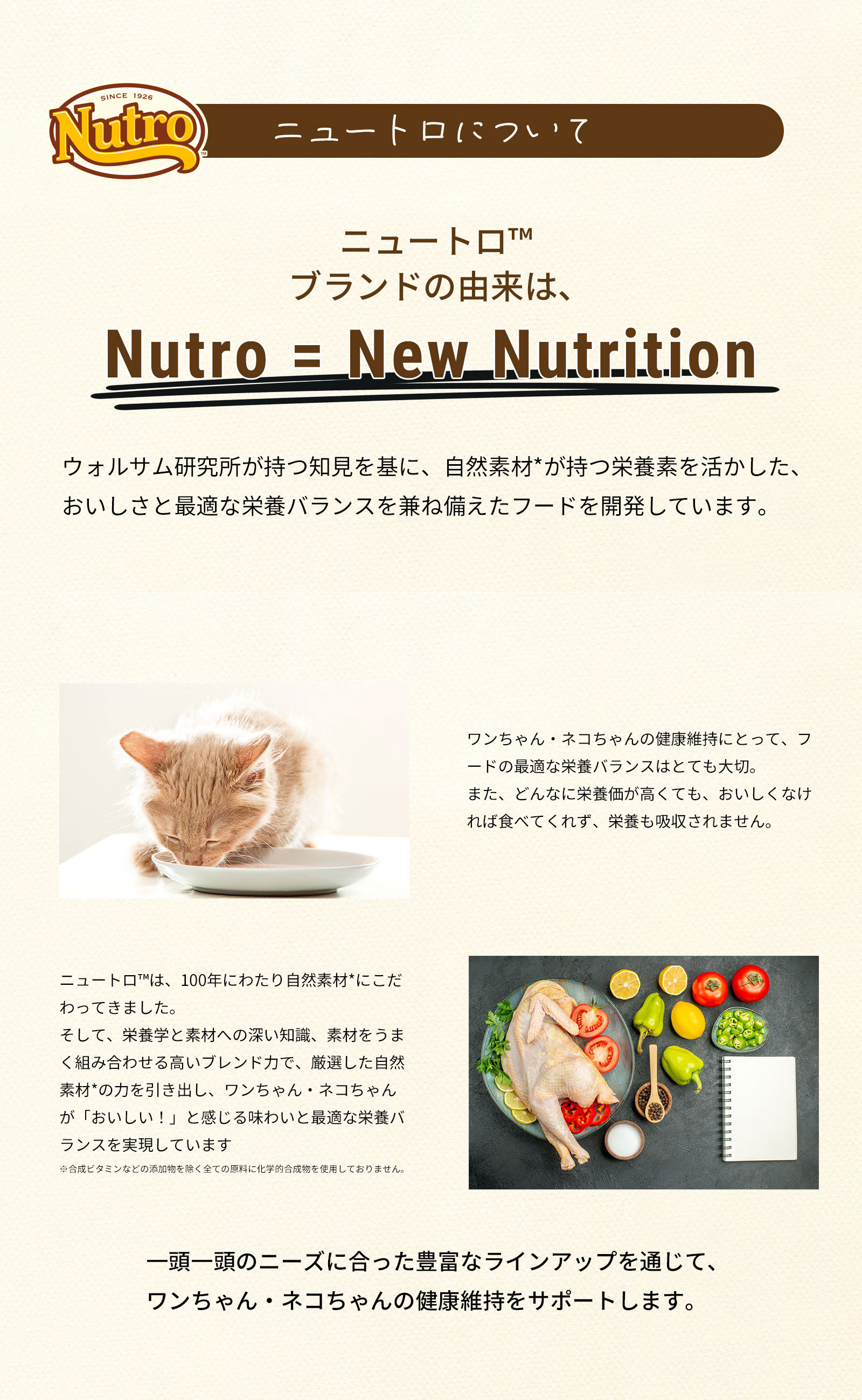 ニュートロについて