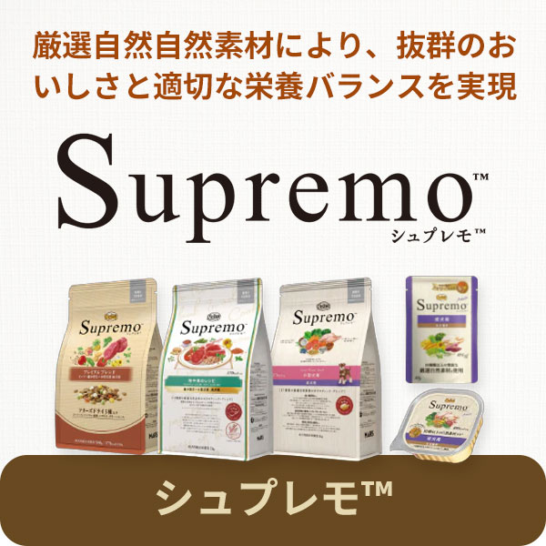 シュプレモ