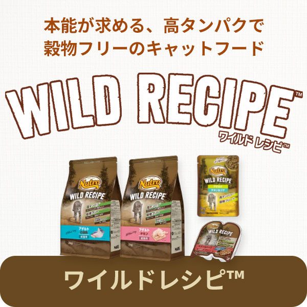 ワイルドレシピ