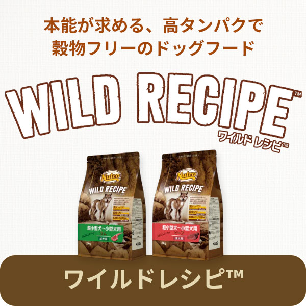 ワイルドレシピ