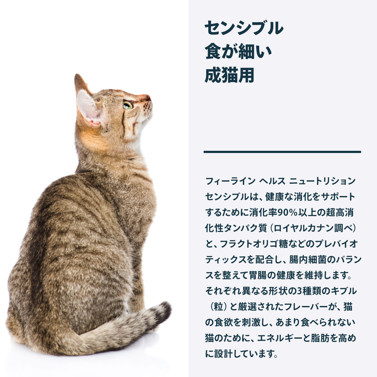 ロイヤルカナン（ROYAL CANIN） 猫 キャットフード センシブル 15kg 食