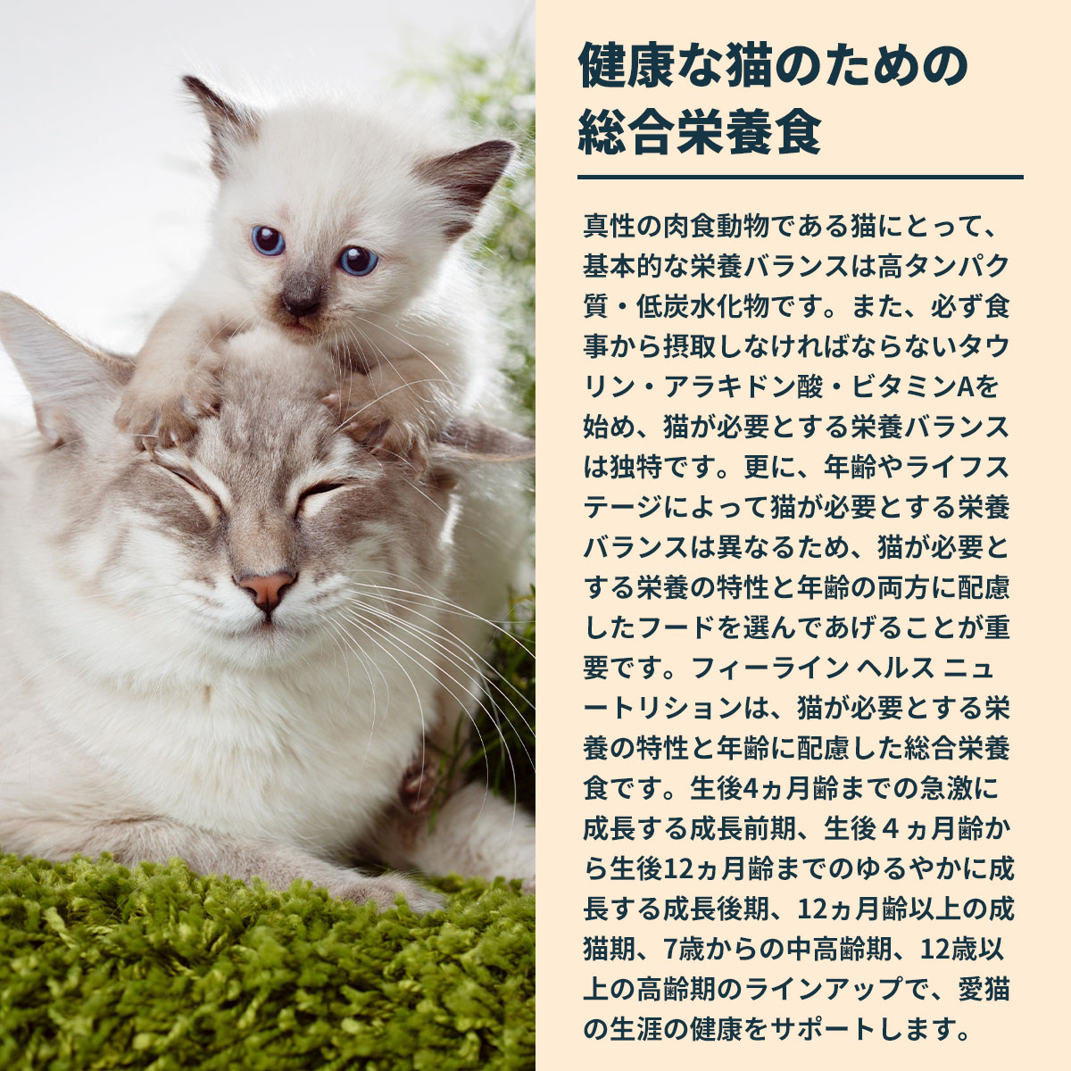 ロイヤルカナン（ROYAL CANIN） 猫 キャットフード キトン 2kg 成長