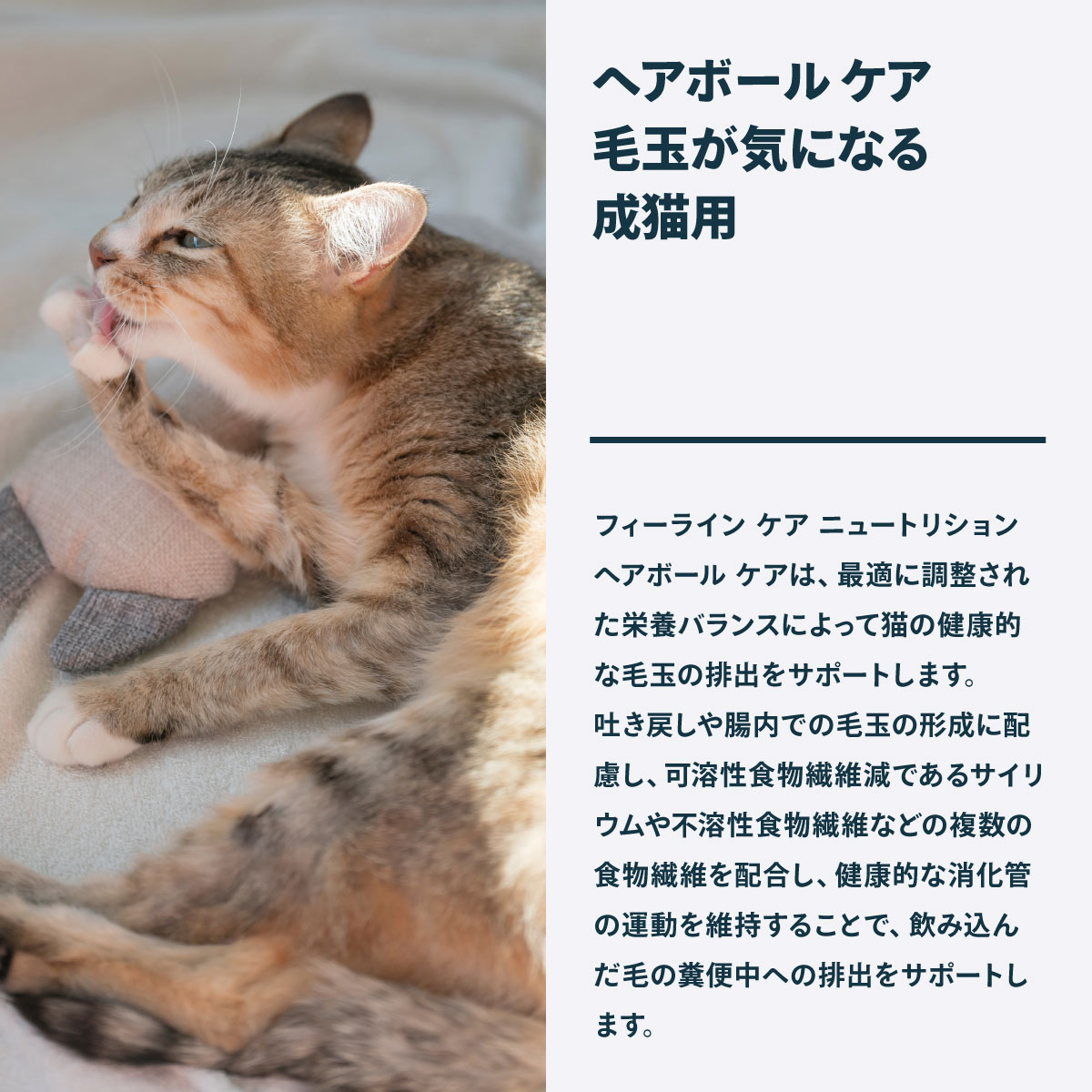ロイヤルカナン（ROYAL CANIN） 猫 キャットフード ヘアボールケア