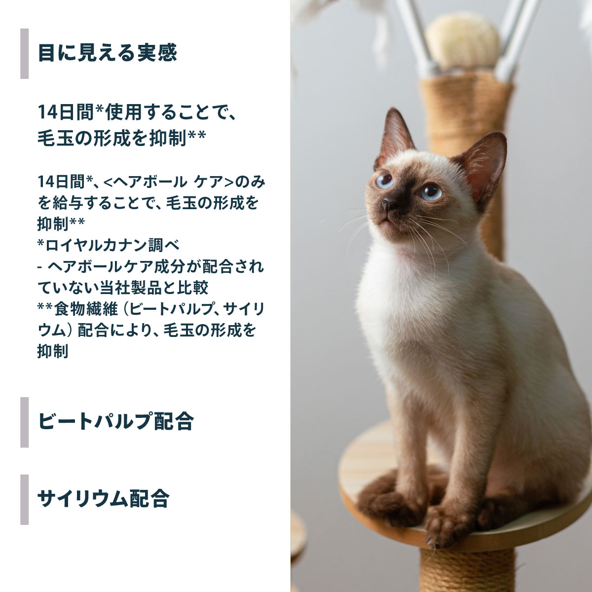 ロイヤルカナン（ROYAL CANIN） 猫 キャットフード ヘアボールケア
