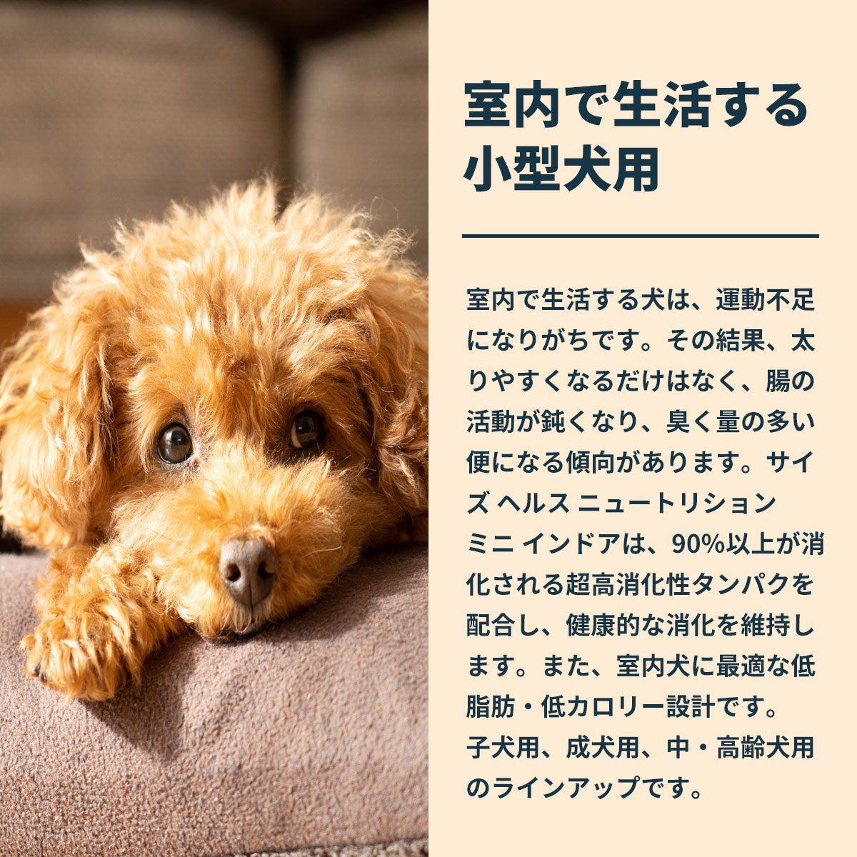  CANIN 小型犬の子犬用 ドライフード 4kg Royal canin