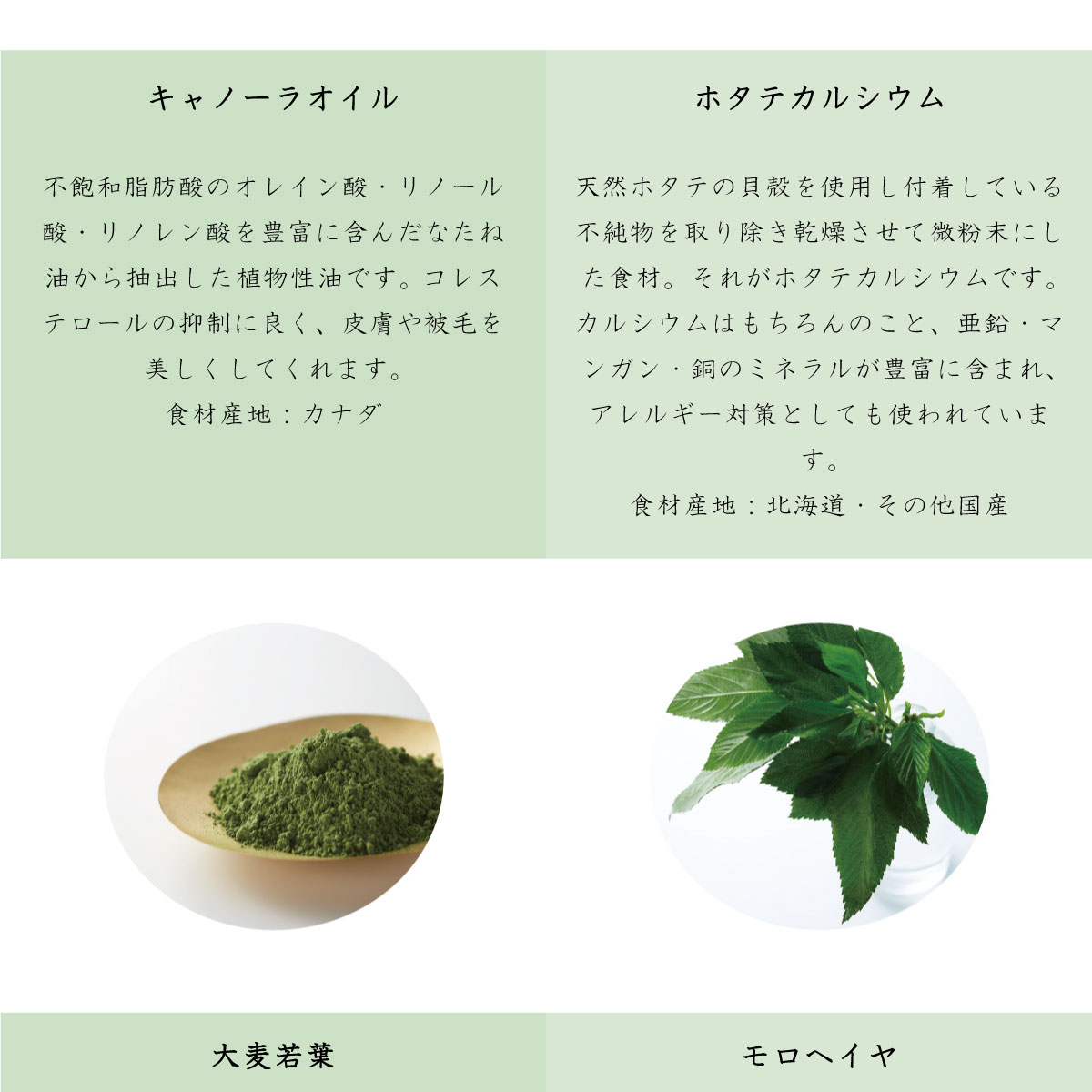 ally010-6