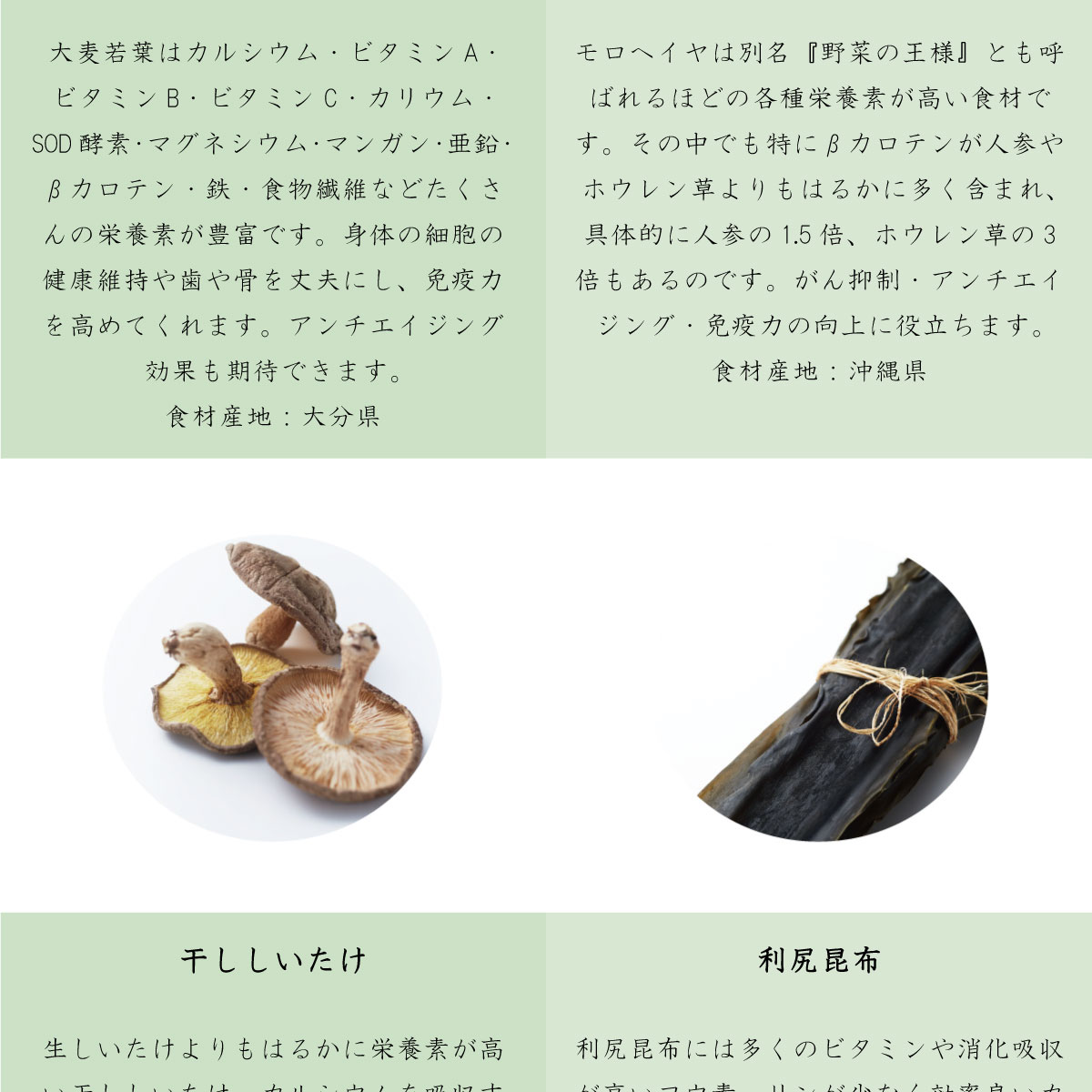 ally010-6