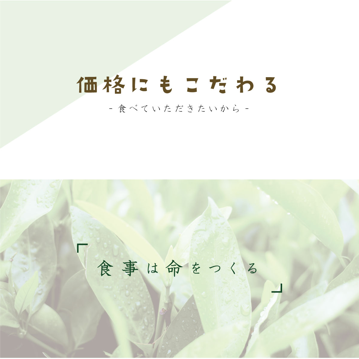 ally010-6