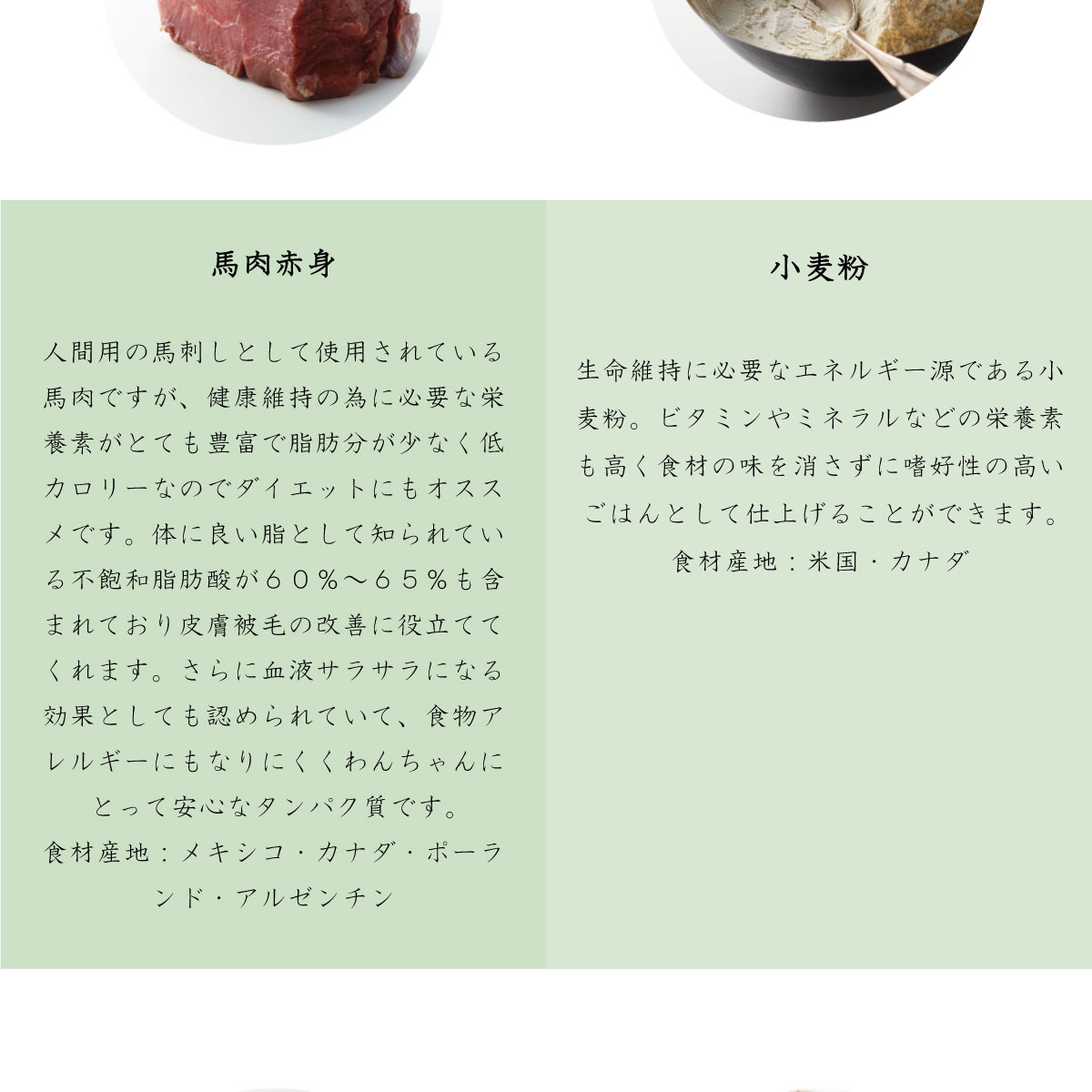 ally010-6
