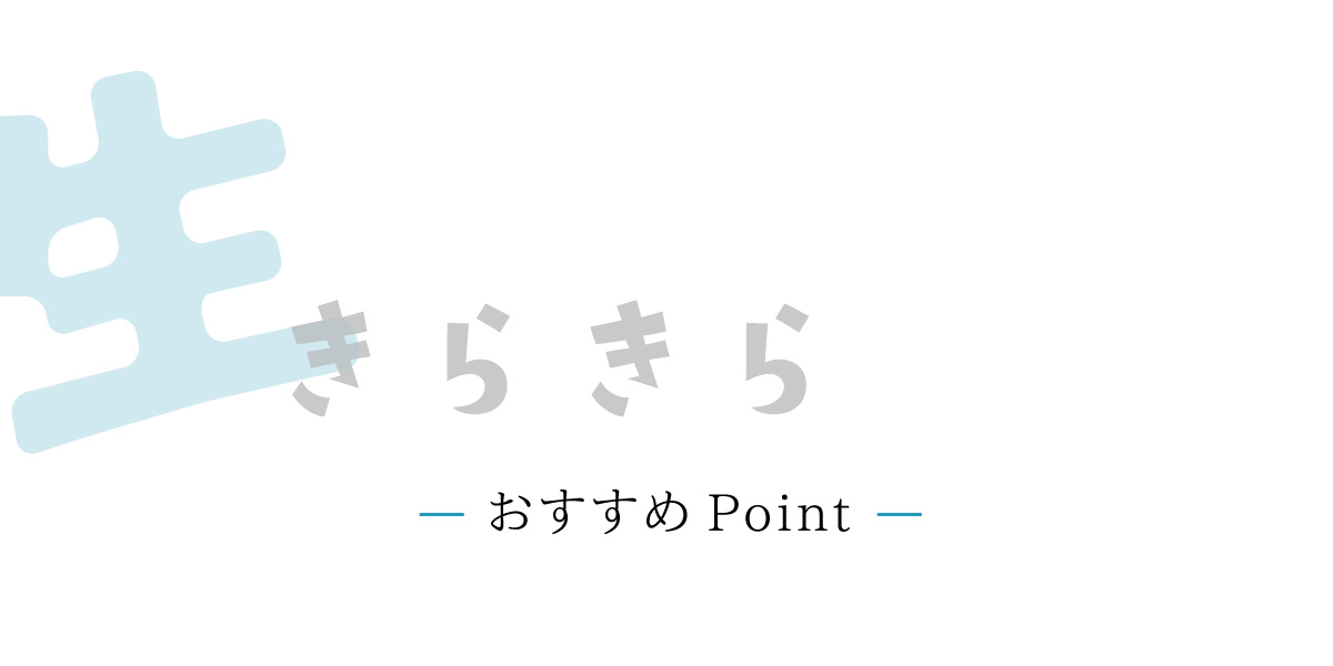 ally011-60