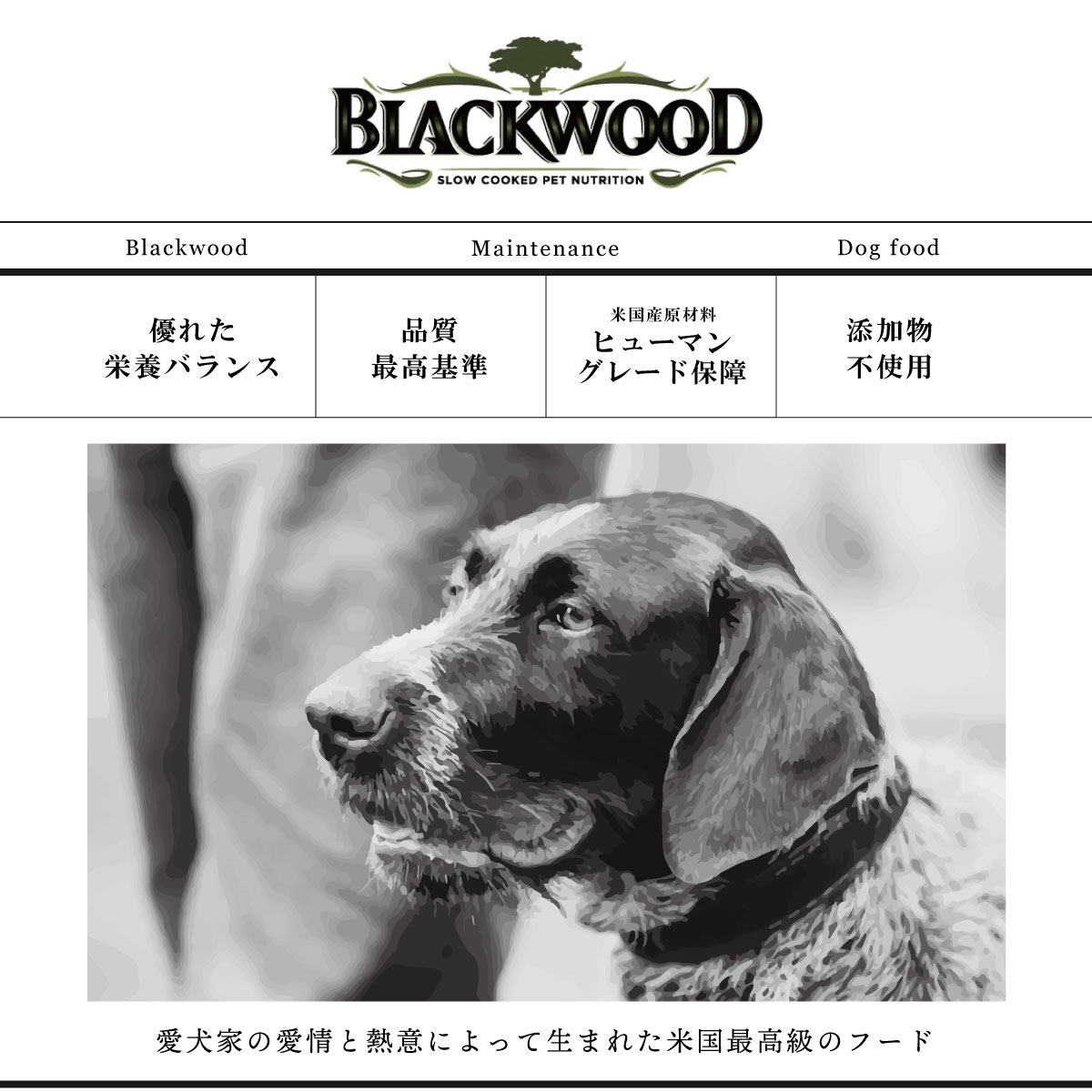 BLACKWOOD ブラックウッド 1000 チキン 20kg 犬 ブラックウッド1000は、玄米・グレインソルガム・オート麦等穀類