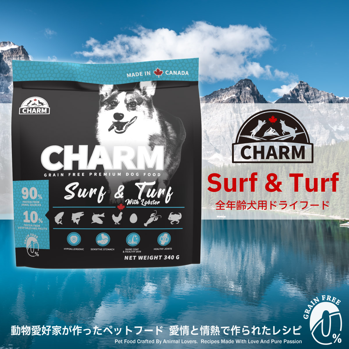 チャーム（ペット） チャーム CHARM ドッグフード サーフ