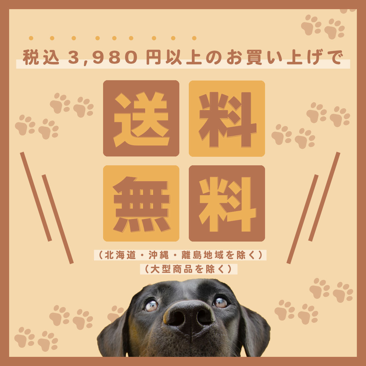 ナチュラルハーベスト 犬用おやつ 北海道シャケクランチ 20g｜koji｜04