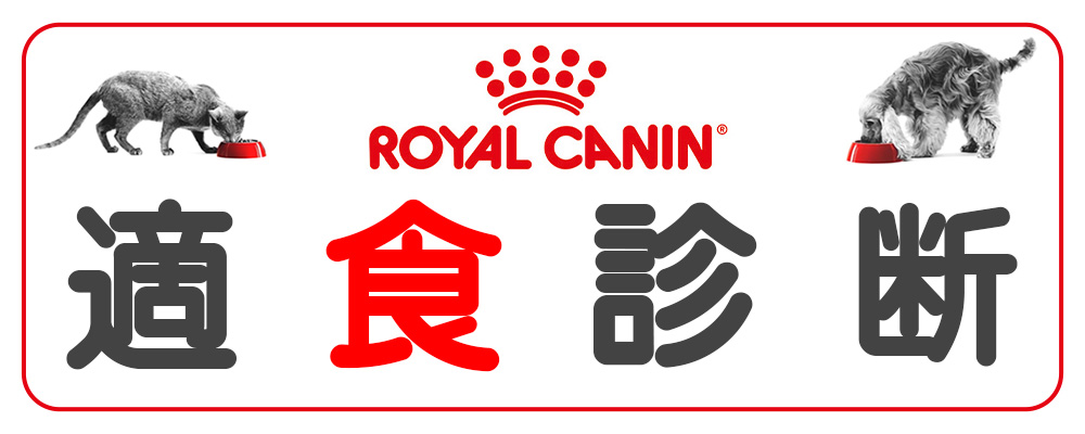ロイヤルカナン（ROYAL CANIN） 猫 キャットフード ライト ウェイト