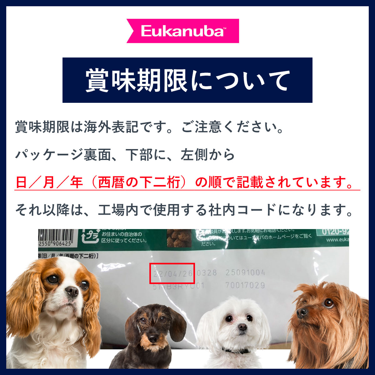 ユーカヌバ（Eukanuba） ドッグフード スモール アダルト 800g 小型犬