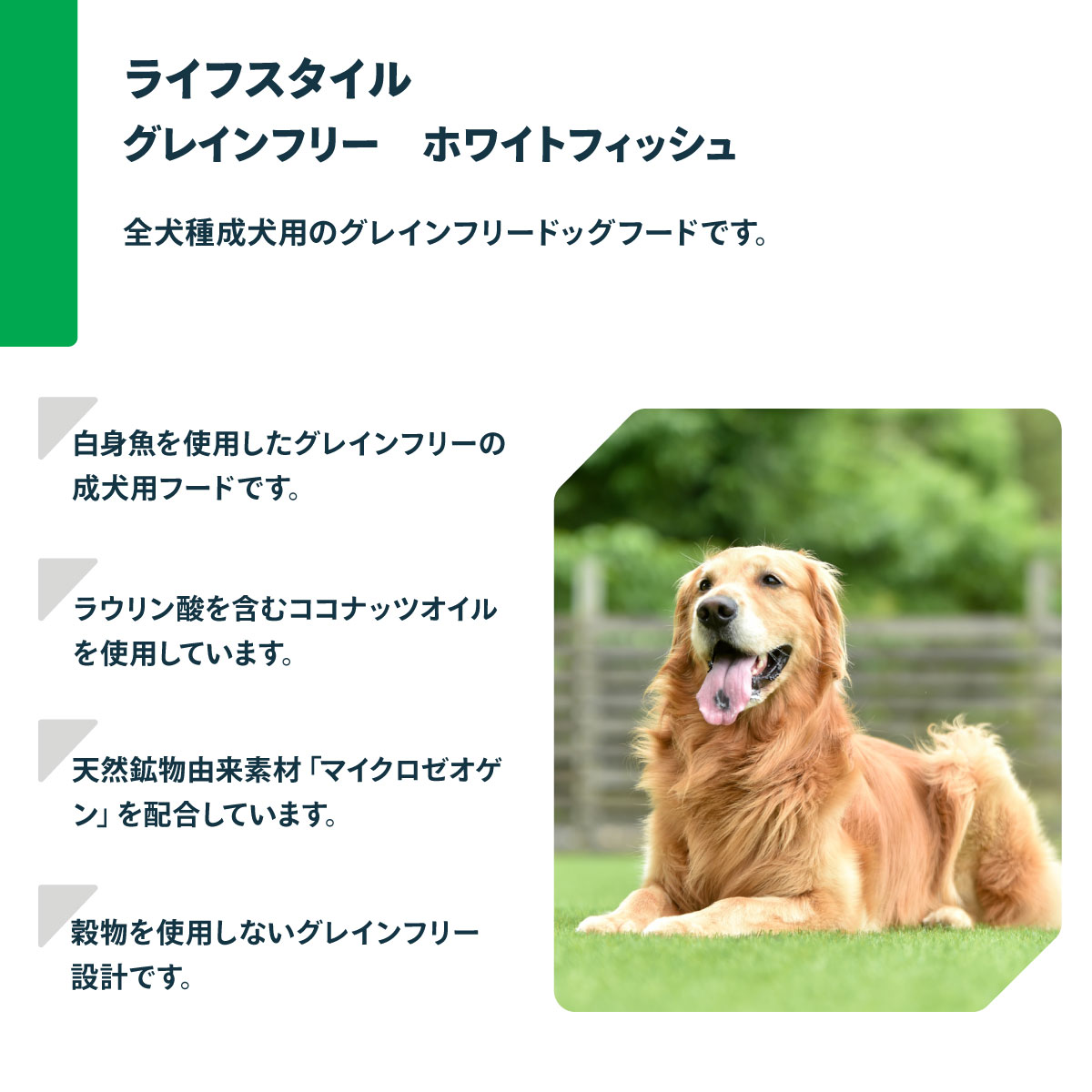 ネイチャーズプロテクション ドッグフード ライフスタイル グレイン