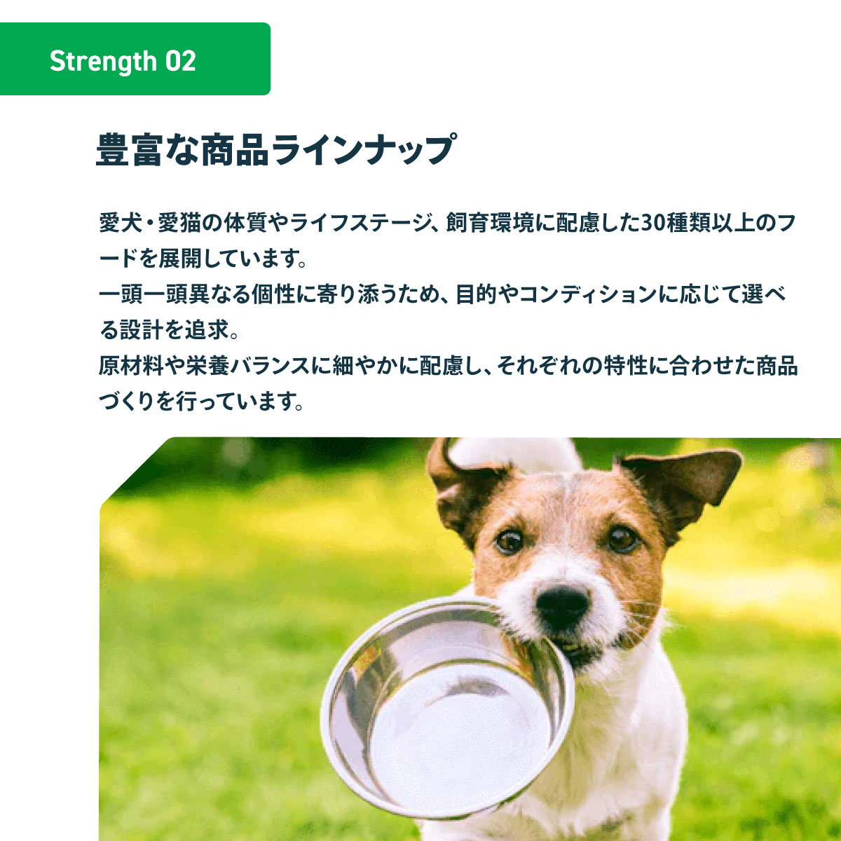 N/A : ペットショップkojikoji - 通販 - Yahoo!ショッピング