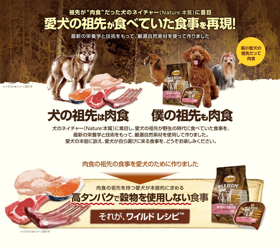 ニュートロ ワイルドレシピ 超小型犬〜小型犬用 成犬用 ラム 2kg