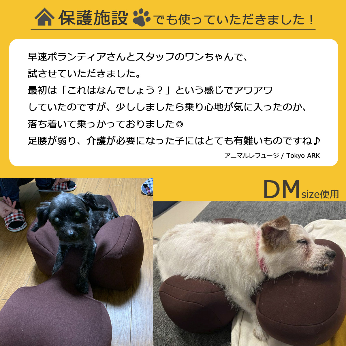 OneAid リラクッション ペット L ベージュ 犬用 介護 介護用品