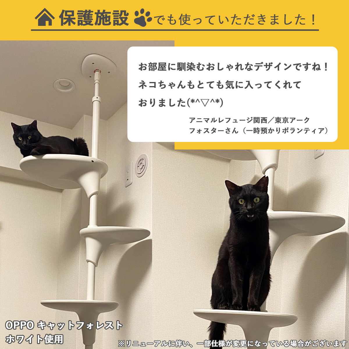 メーカー公式ショップ】 OPPO ホワイト キャットフォレスト 猫用品