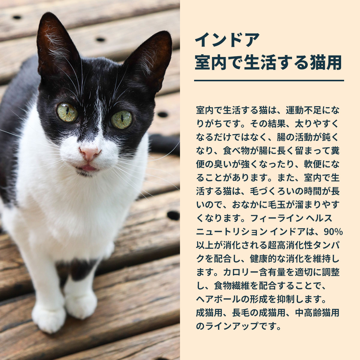 ロイヤルカナン（ROYAL CANIN） 猫 キャットフード インドア 7＋ 3.5kg