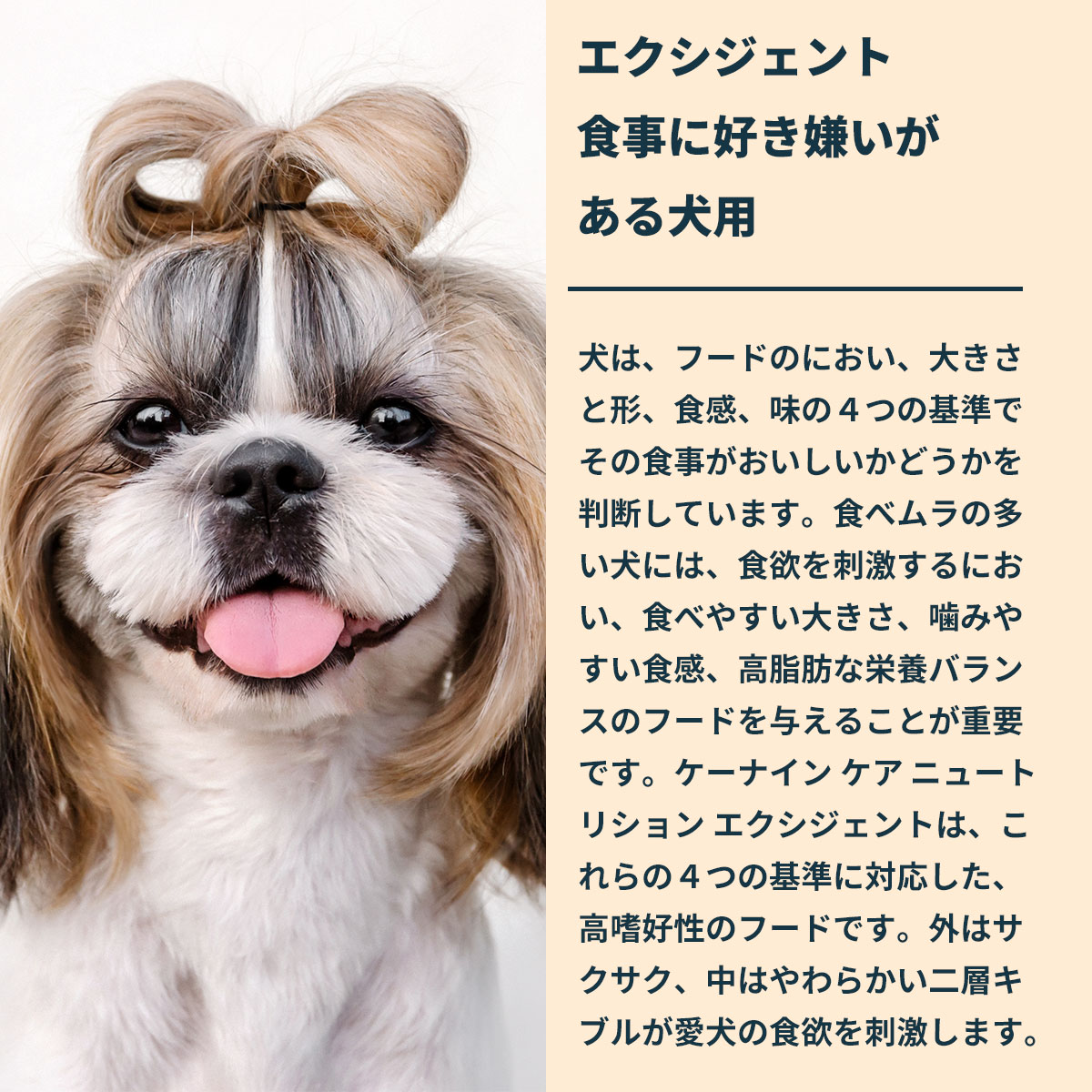 ロイヤルカナン犬用   ミニエクシジェント 4kg×3袋 ＋おまけ約2kg ロイヤルカナン CCN ミニエクシジェント 2kg ： 通販・価格比較 [最
