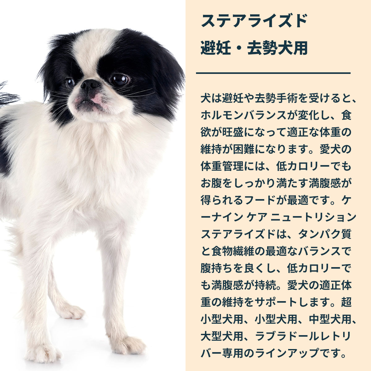 ロイヤルカナン（ROYAL CANIN） 犬 ドッグフード エクストラ スモール