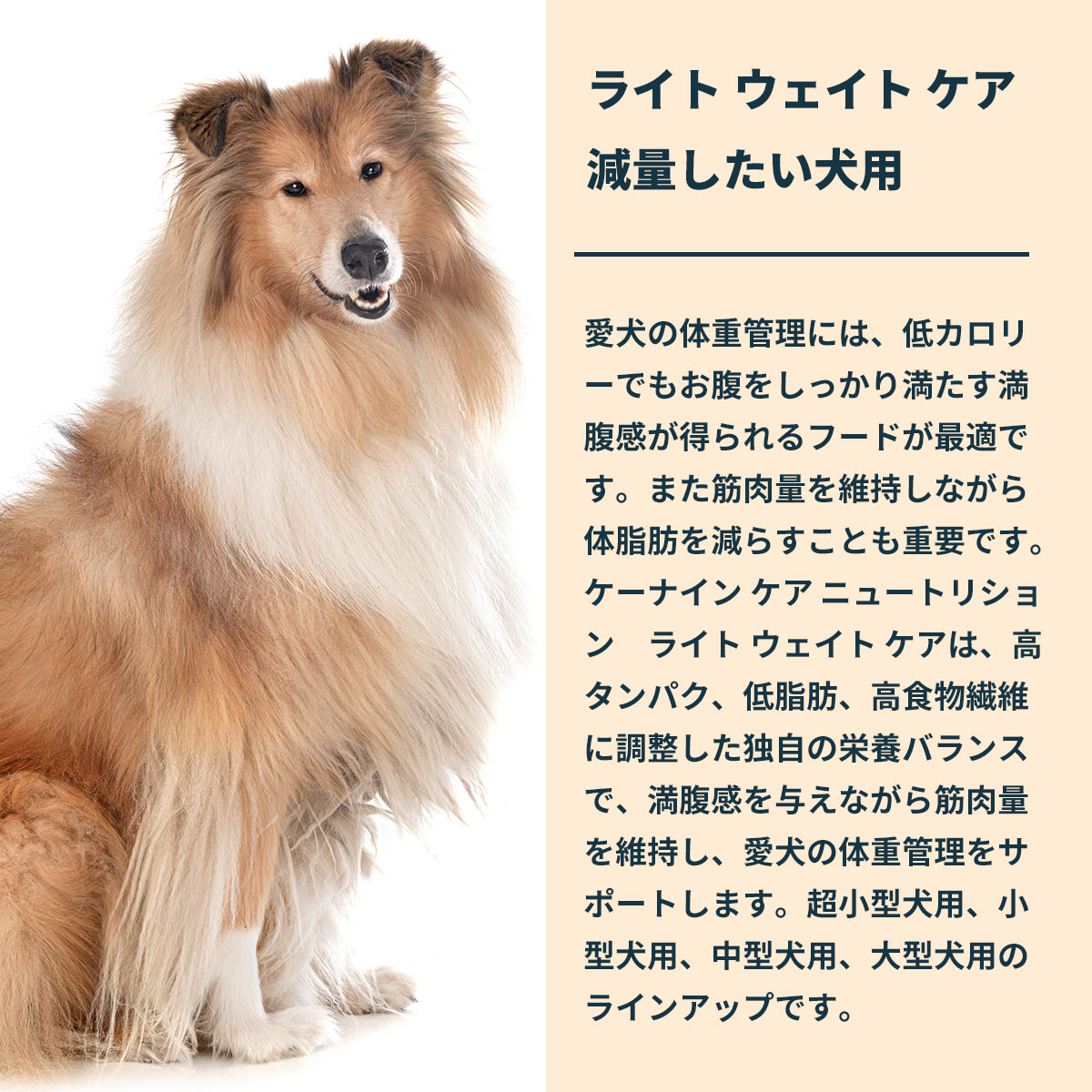 ロイヤルカナン（ROYAL CANIN） 犬 ドッグフード マキシライトウェイト
