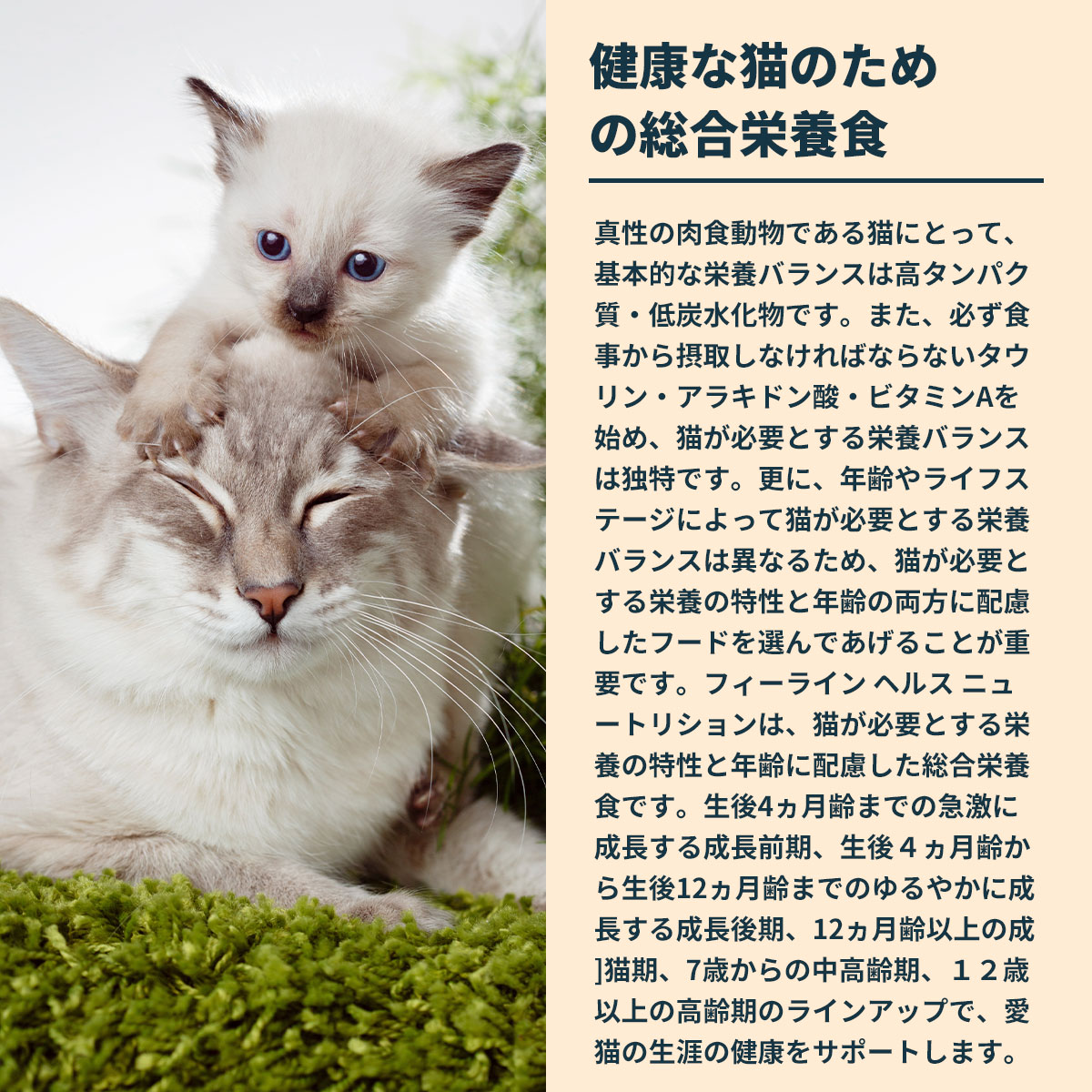 ロイヤルカナン（ROYAL CANIN） 猫 キャットフード ウェットフード