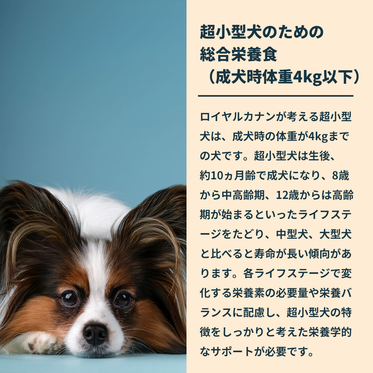 ロイヤルカナン（ROYAL CANIN） 犬 ドッグフード エクストラ スモール