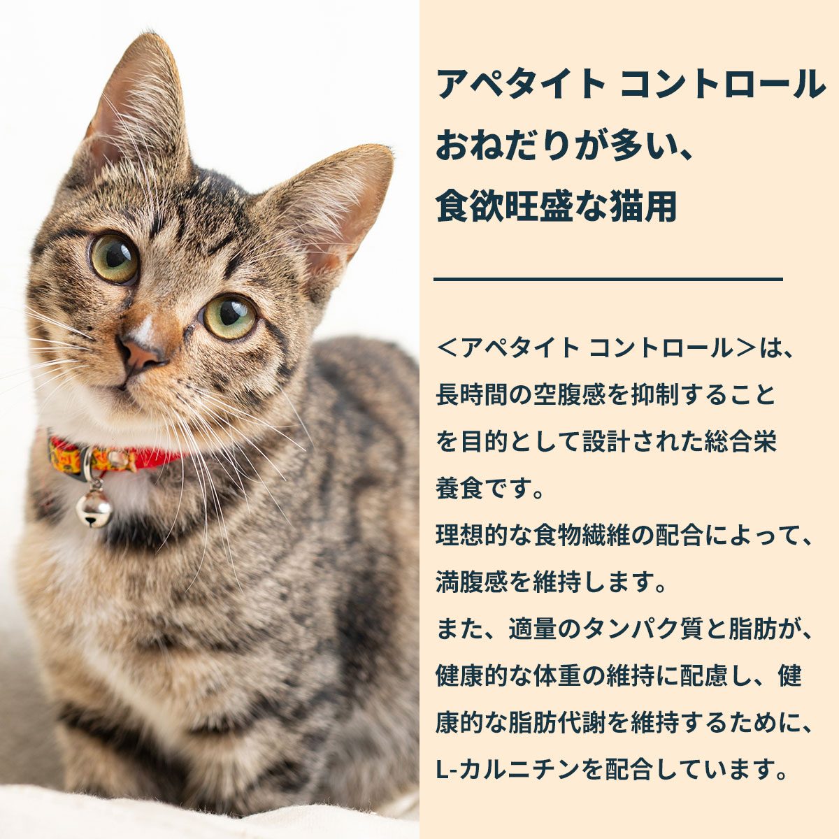 ロイヤルカナン（ROYAL CANIN） 猫 キャトフード アペタイト