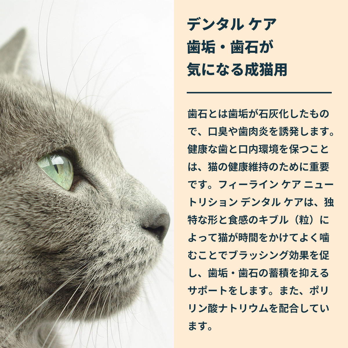 ロイヤルカナン（ROYAL CANIN） 猫 キャットフード デンタルケア 400g